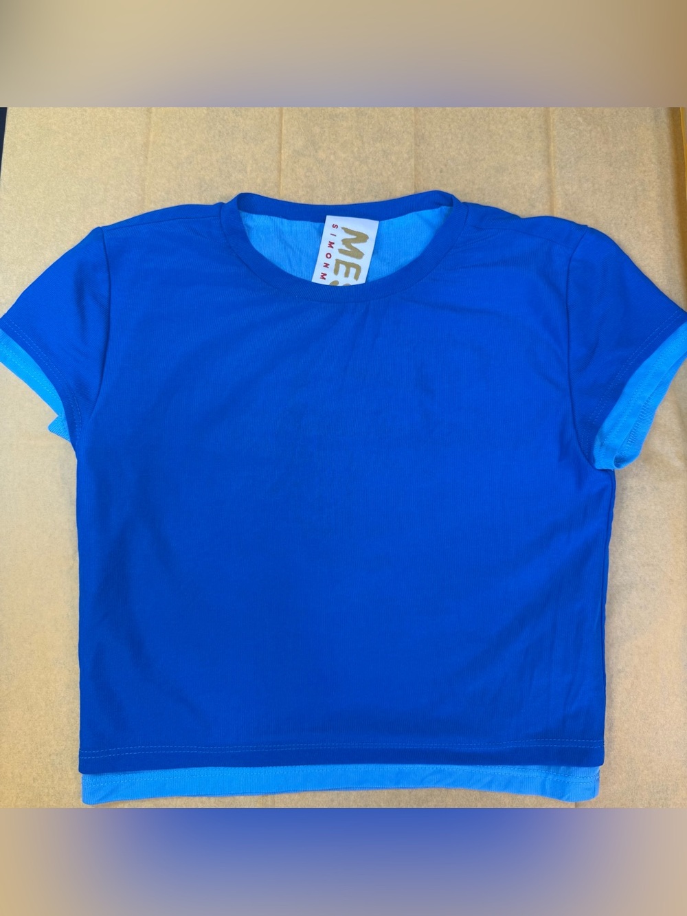 Simon Miller Women's Layered Mesh Crop Top in Blue XS